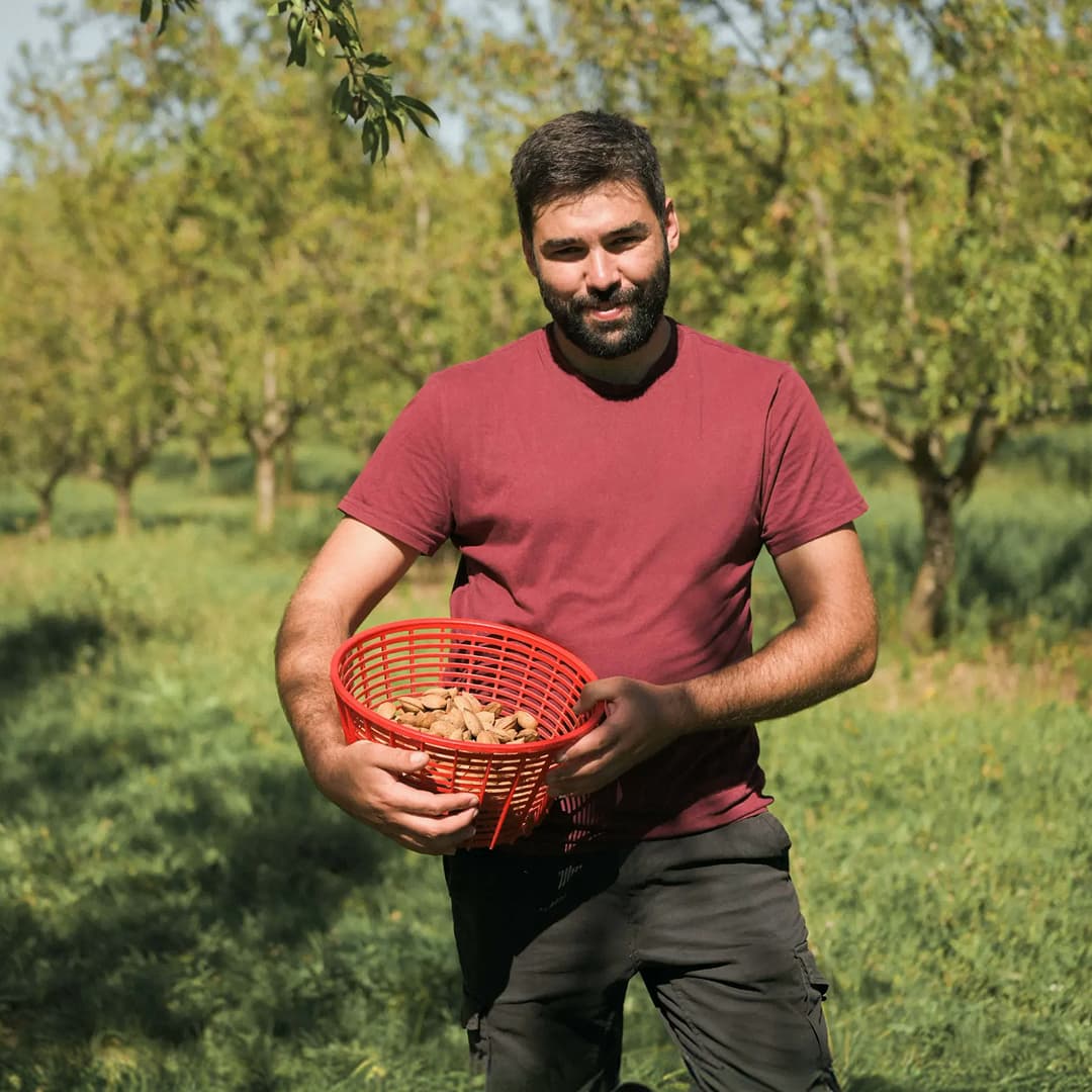 16,3 ha en arboriculture - 3 variétés d’amandes