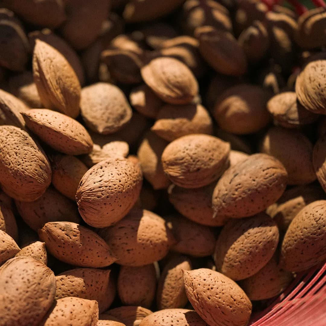 16,3 ha en arboriculture - 3 variétés d’amandes - Arboriculture en Nouvelle-Aquitaine | Hectarea - 6