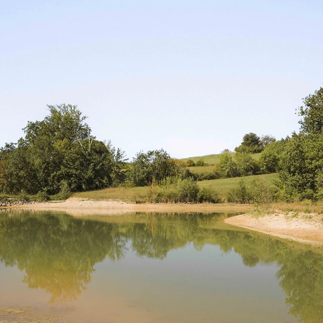 16,3 ha en arboriculture - 3 variétés d’amandes - Arboriculture en Nouvelle-Aquitaine | Hectarea - 7