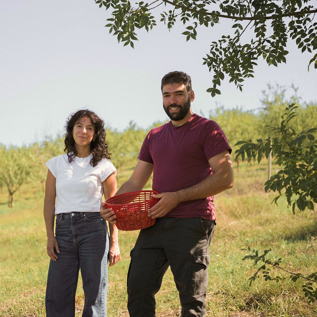 16,3 ha en arboriculture - 3 variétés d’amandes - Arboriculture en Nouvelle-Aquitaine | Hectarea - 10