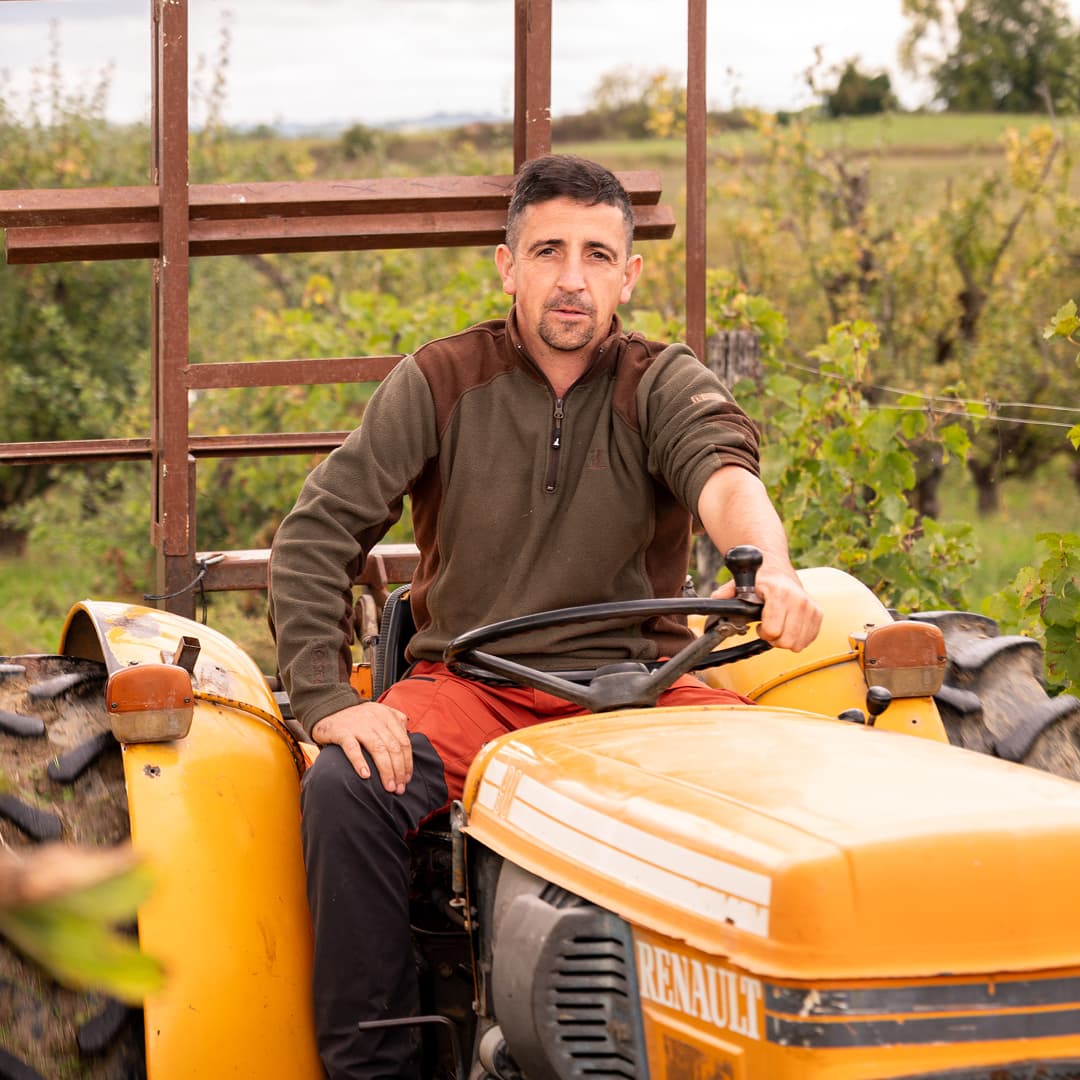 16,4 ha en vergers éco-responsables - Pommes Pink Lady - Arboriculture en Tarn-et-Garonne | Hectarea - 3