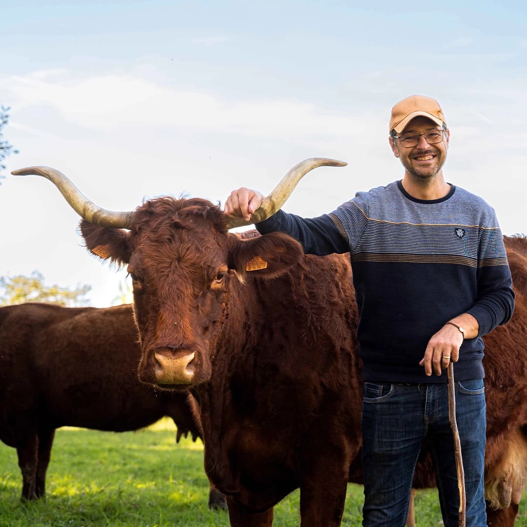 39,2 ha en élevage de vaches et brebis Limousines