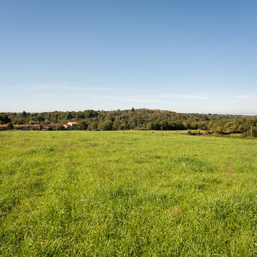 39,2 ha en élevage de vaches et brebis Limousines - Élevage en Nouvelle-Aquitaine | Hectarea - 1