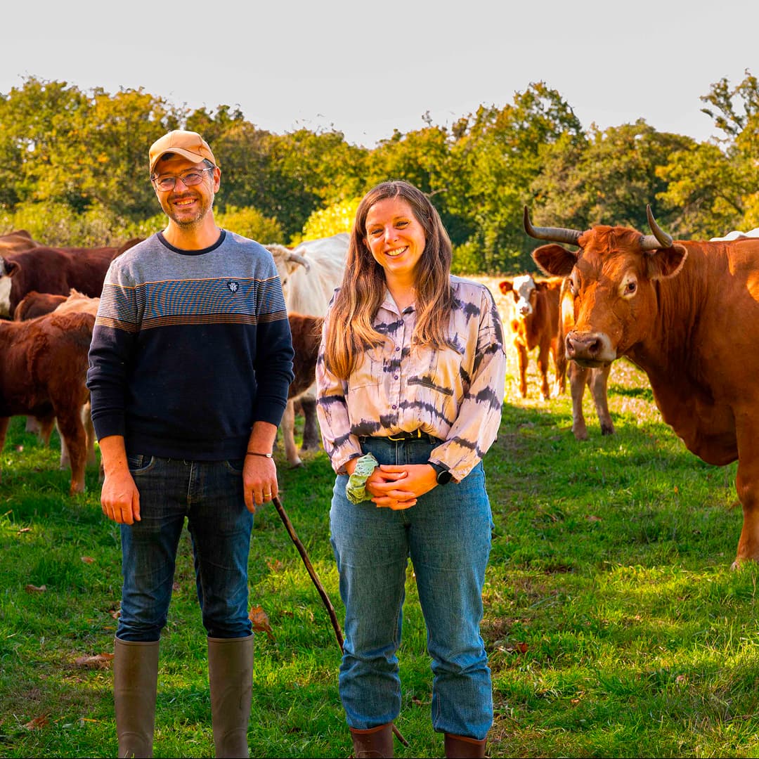 39,2 ha en élevage de vaches et brebis Limousines - Élevage en Nouvelle-Aquitaine | Hectarea - 9