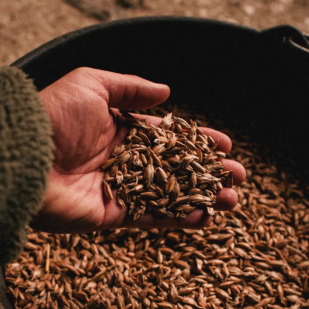 12,4 ha en céréales - Farines et huiles Bio - Céréales en Grand Est | Hectarea - 2
