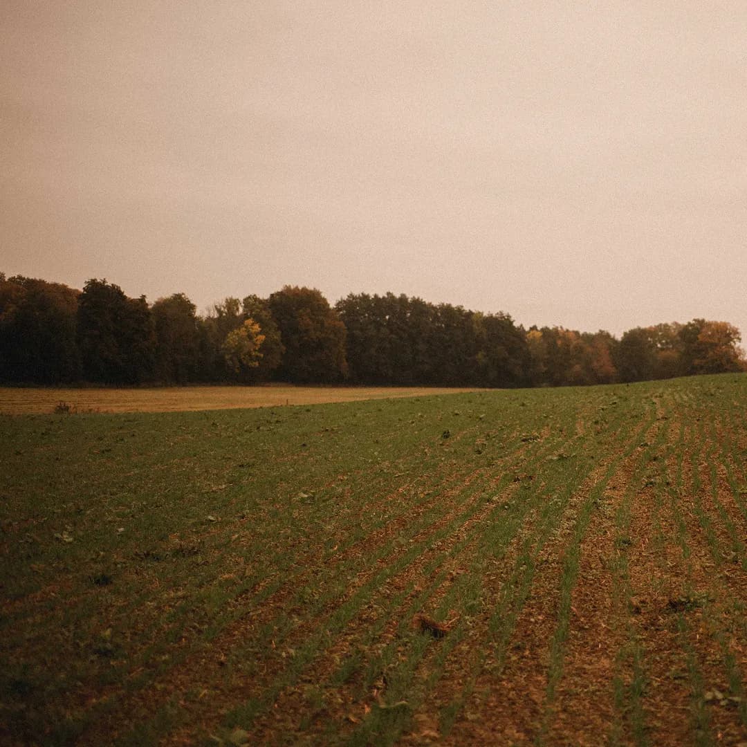 12,4 ha en céréales - Farines et huiles Bio - Céréales en Grand Est | Hectarea - 3