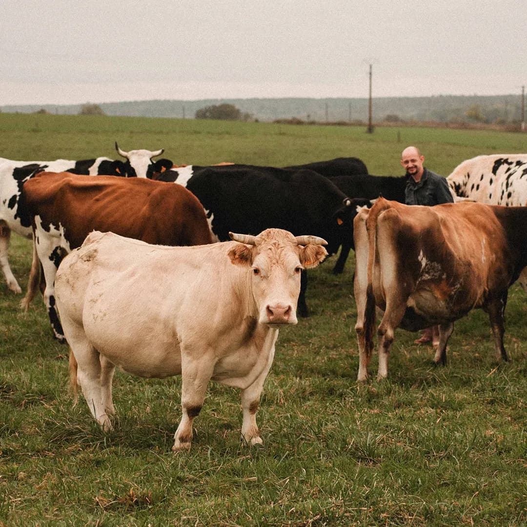 12,4 ha en céréales - Farines et huiles Bio - Céréales en Grand Est | Hectarea - 8