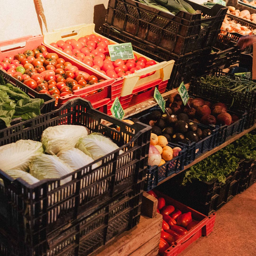 26,7 ha en maraîchage et élevage avicole Bio - Maraîchage en Normandie | Hectarea - 7