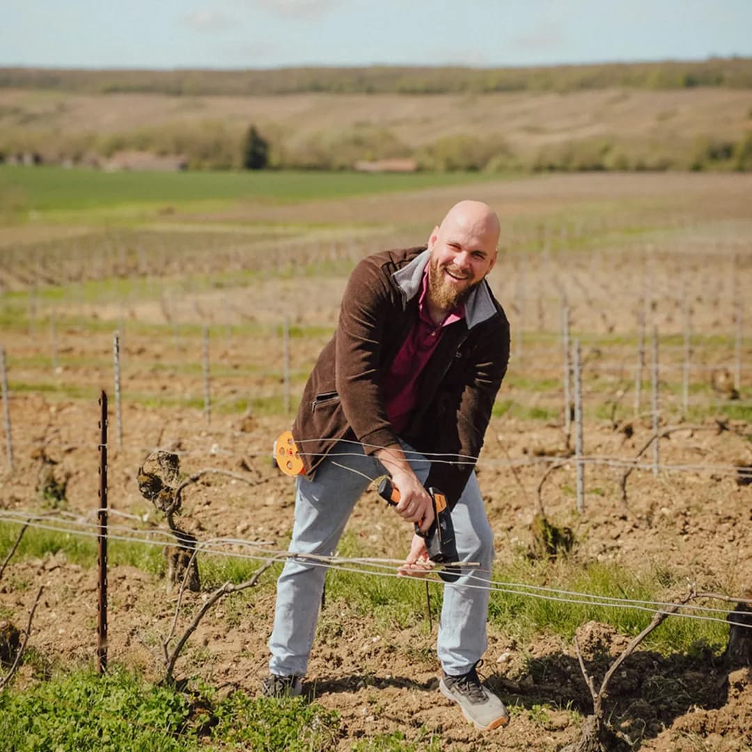 25,9 ares en vignes Bio - AOC Champagne et Coteaux-champenois - Viticulture en Hauts-de-France | Hectarea - 1
