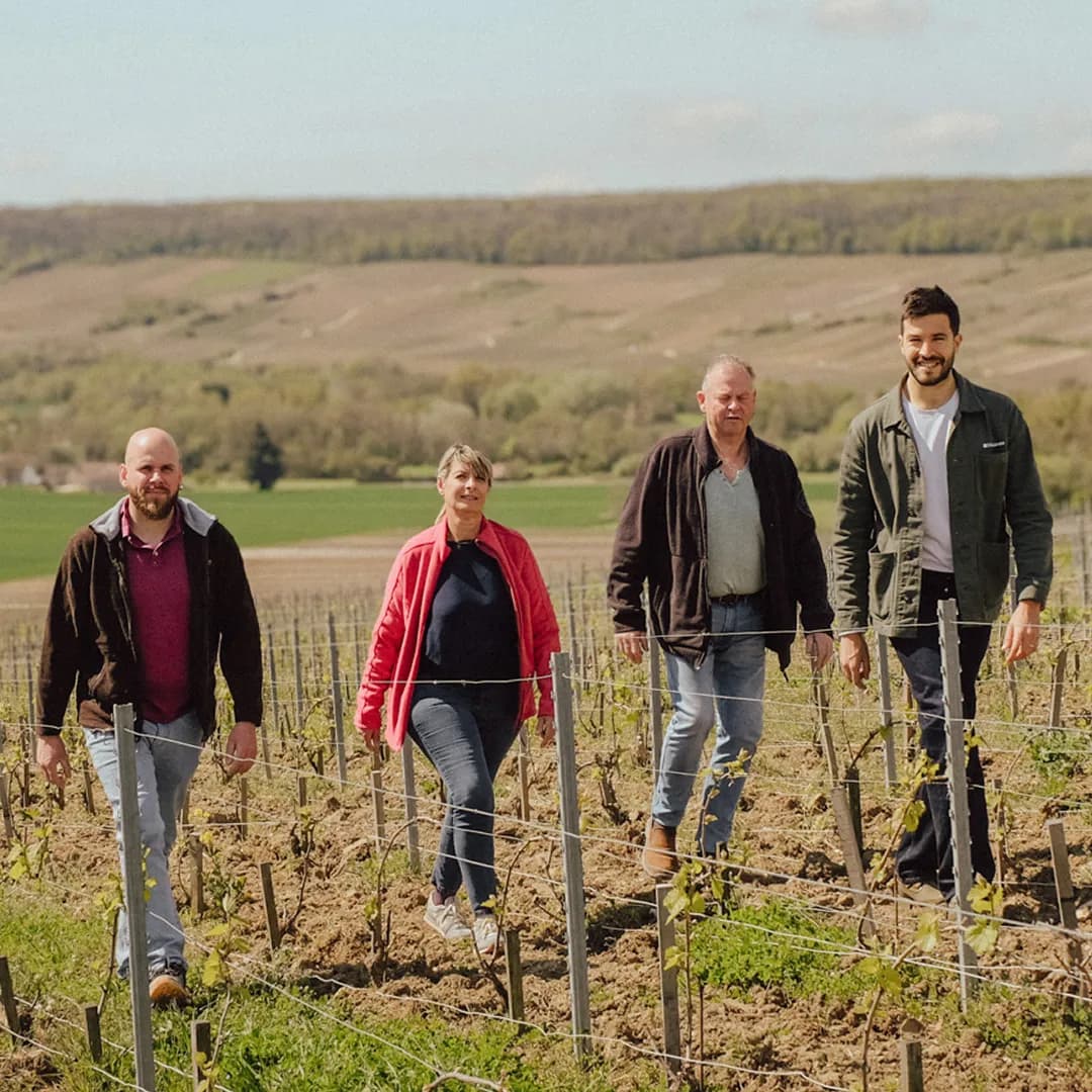 25,9 ares en vignes Bio - AOC Champagne et Coteaux-champenois - Viticulture en Hauts-de-France | Hectarea - 7