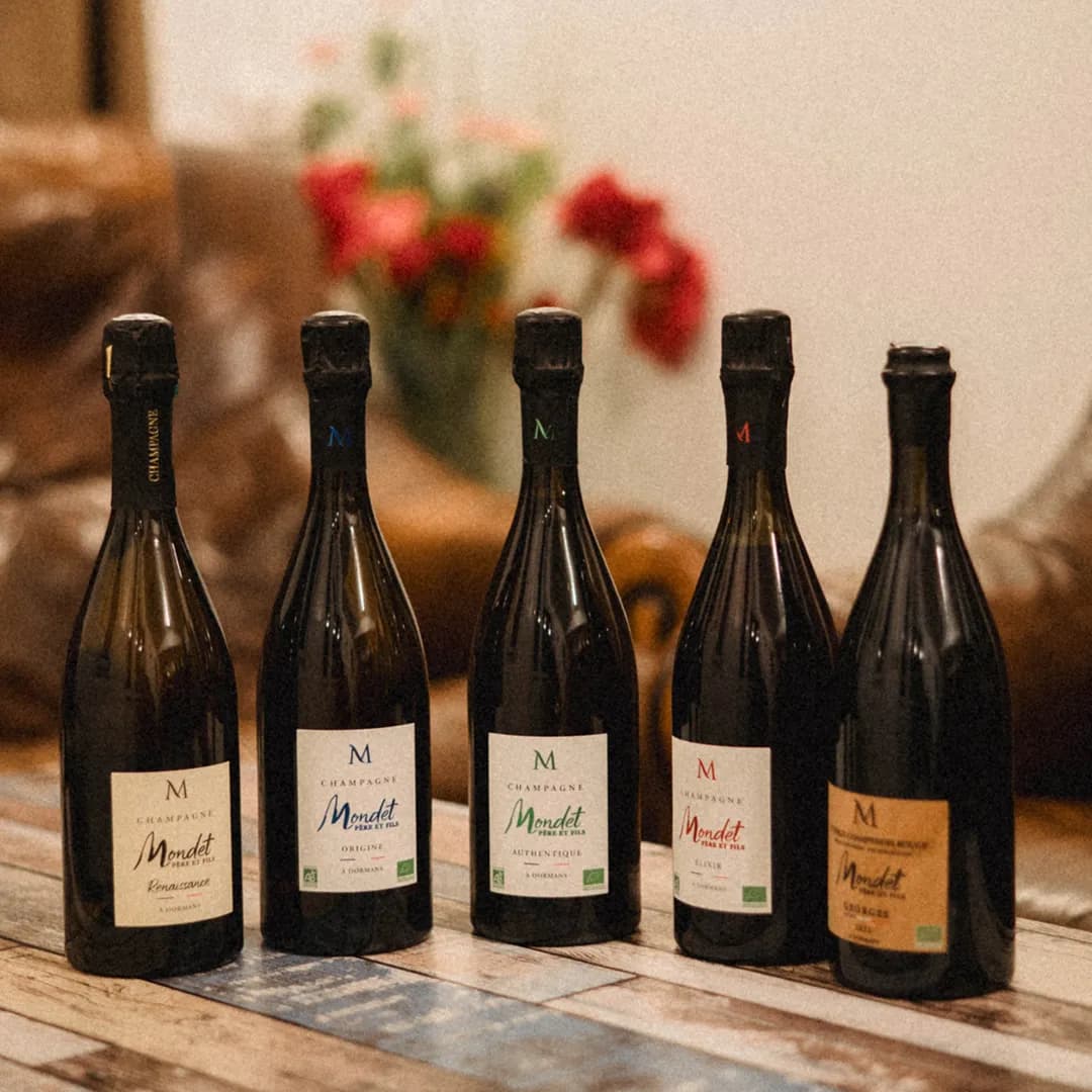 25,9 ares en vignes Bio - AOC Champagne et Coteaux-champenois - Viticulture en Hauts-de-France | Hectarea - 8