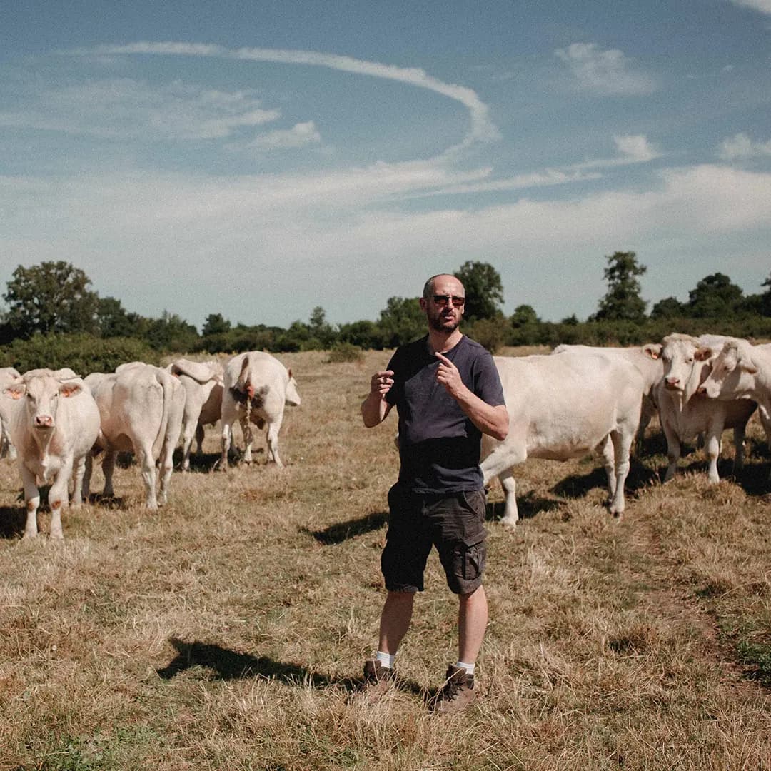 22 ha en polyculture et élevage de Charolaises