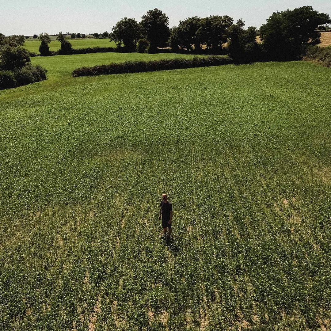 22 ha en polyculture et élevage de Charolaises - Élevage en Nouvelle-Aquitaine | Hectarea - 1