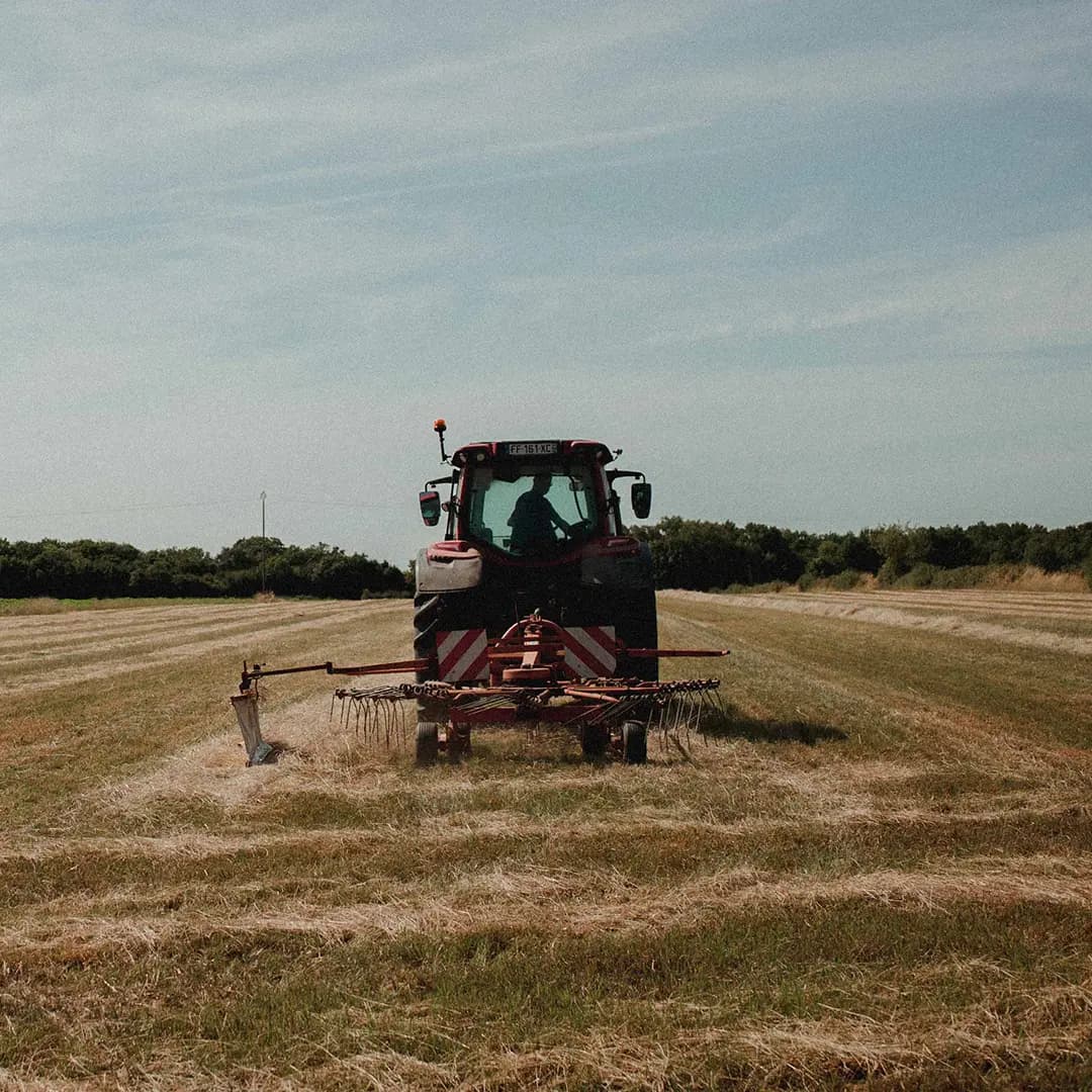 22 ha en polyculture et élevage de Charolaises - Élevage en Nouvelle-Aquitaine | Hectarea - 4