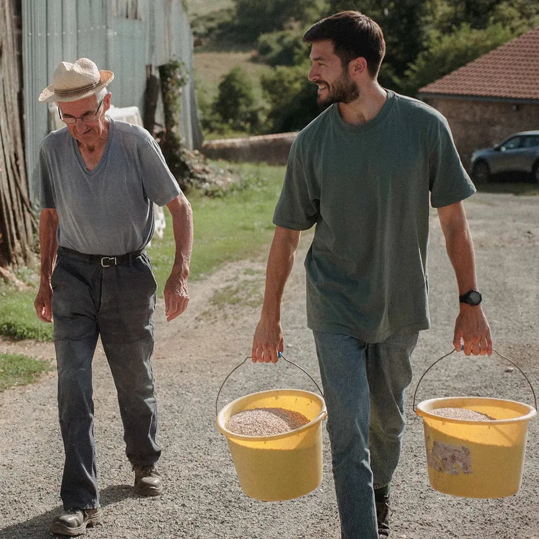 22 ha en polyculture et élevage de Charolaises - Élevage en Nouvelle-Aquitaine | Hectarea - 5