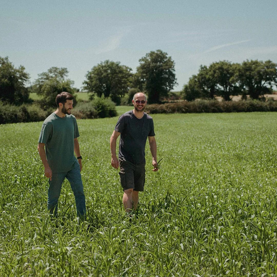 22 ha en polyculture et élevage de Charolaises - Élevage en Nouvelle-Aquitaine | Hectarea - 9