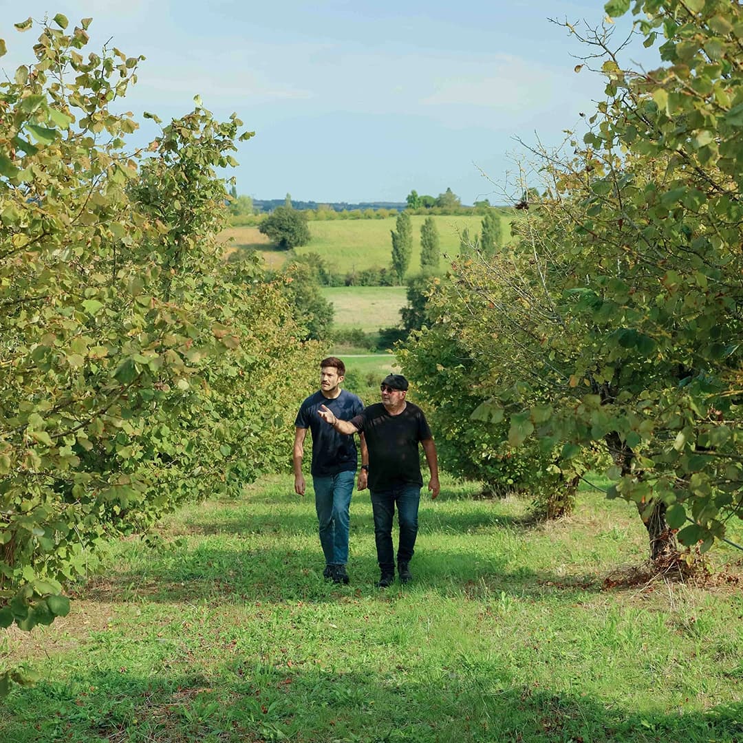 5,6 ha en nuciculture - culture de noisettes - Arboriculture en Nouvelle-Aquitaine | Hectarea - 9