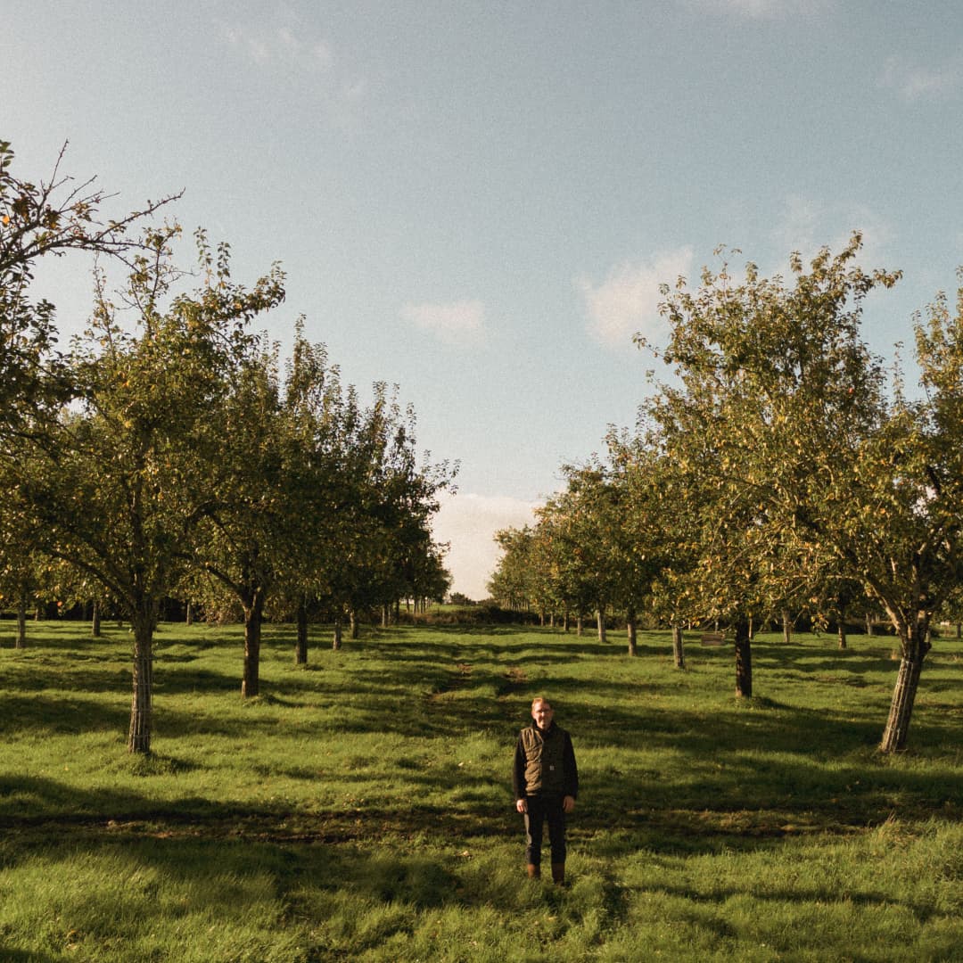 15,4 ha de vergers Bio Pays d’Auge - Cidre - Arboriculture en Normandie | Hectarea - 2