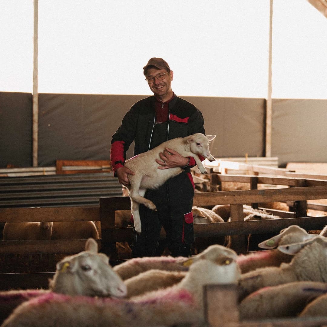 23,5 ha de prés en élevage de brebis Limousines