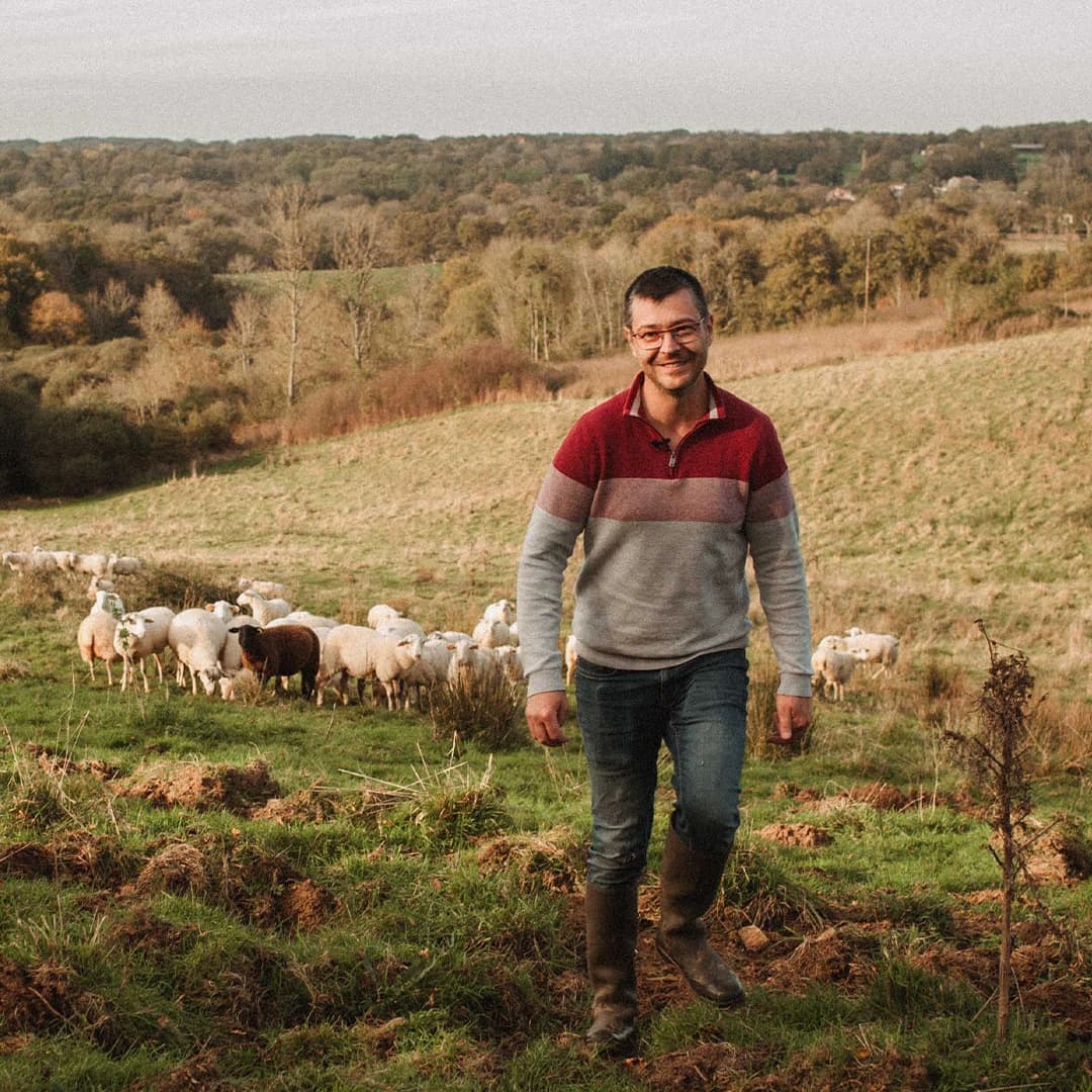 23,5 ha de prés en élevage de brebis Limousines - Élevage en Nouvelle-Aquitaine | Hectarea - 4