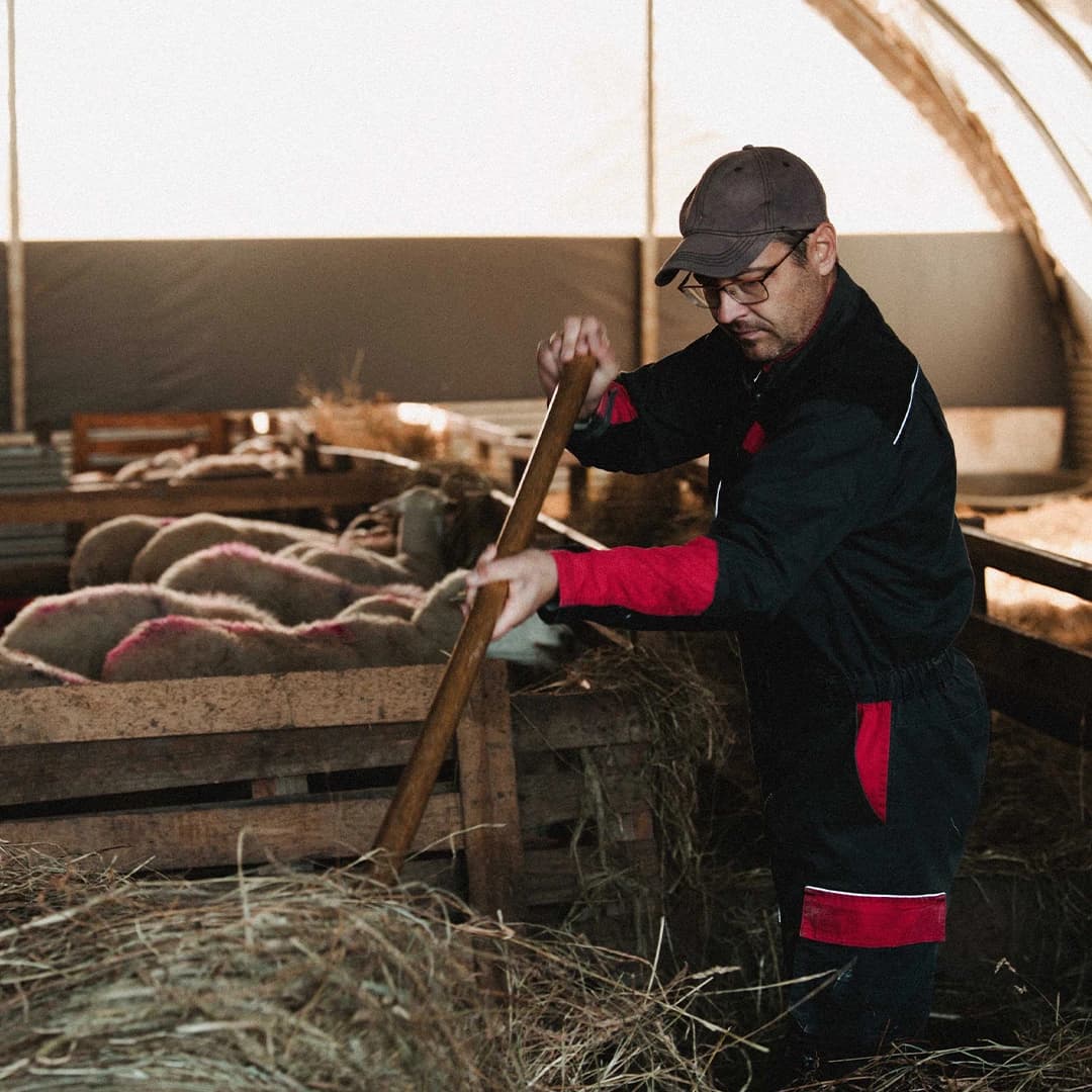 23,5 ha de prés en élevage de brebis Limousines - Élevage en Nouvelle-Aquitaine | Hectarea - 8