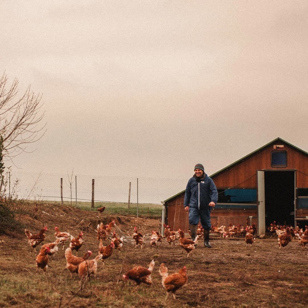 5 ha en maraîchage et élevage avicole Bio - Maraîchage en Auvergne-Rhône-Alpes | Hectarea - 4