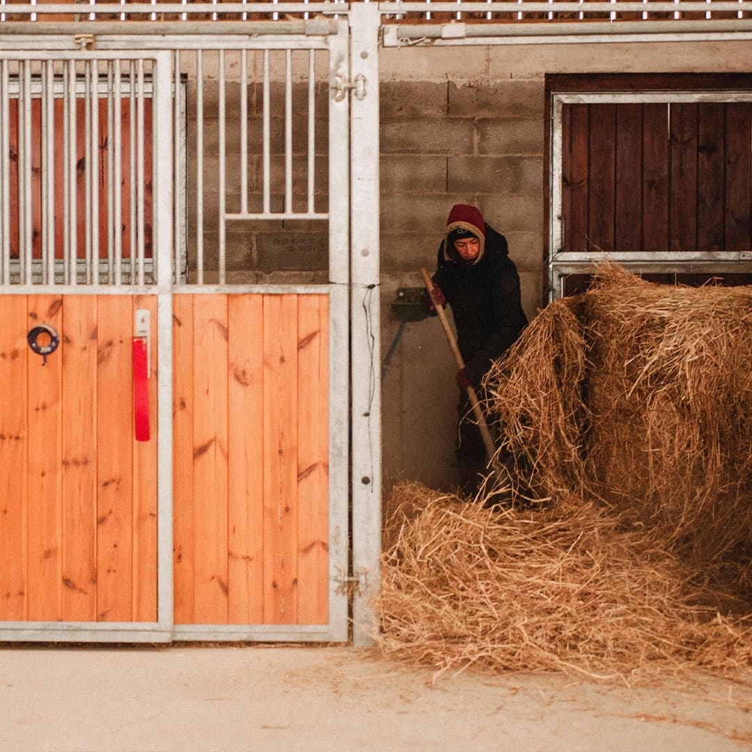 5 ha en maraîchage et élevage avicole Bio - Maraîchage en Auvergne-Rhône-Alpes | Hectarea - 8