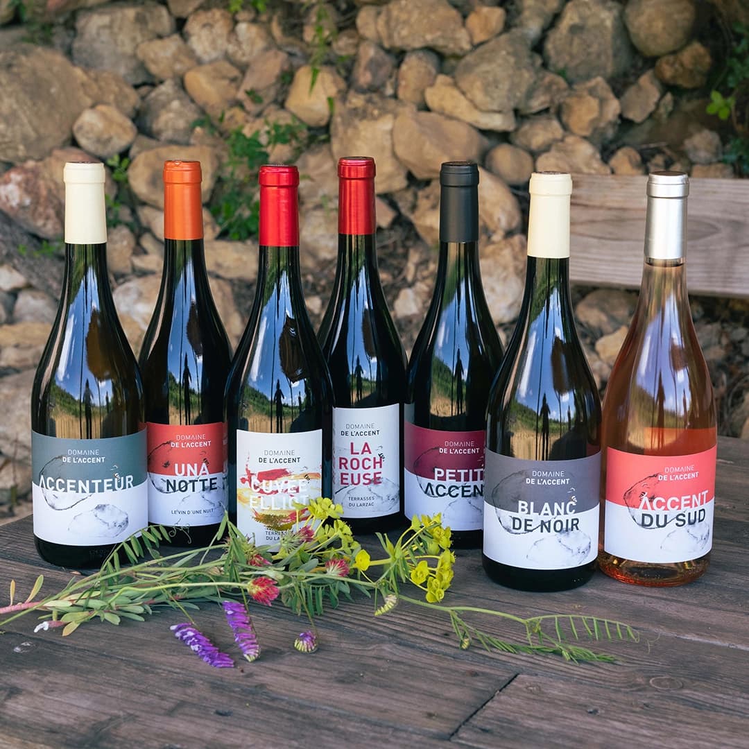 3,2 ha de vignes Bio Terrasses du Larzac - Viticulture en Occitanie | Hectarea - 4