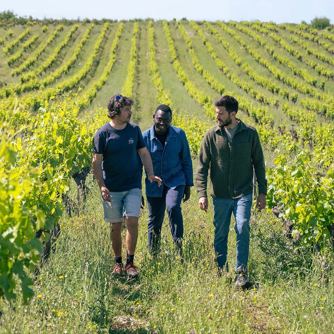 3,2 ha de vignes Bio Terrasses du Larzac - Viticulture en Occitanie | Hectarea - 7