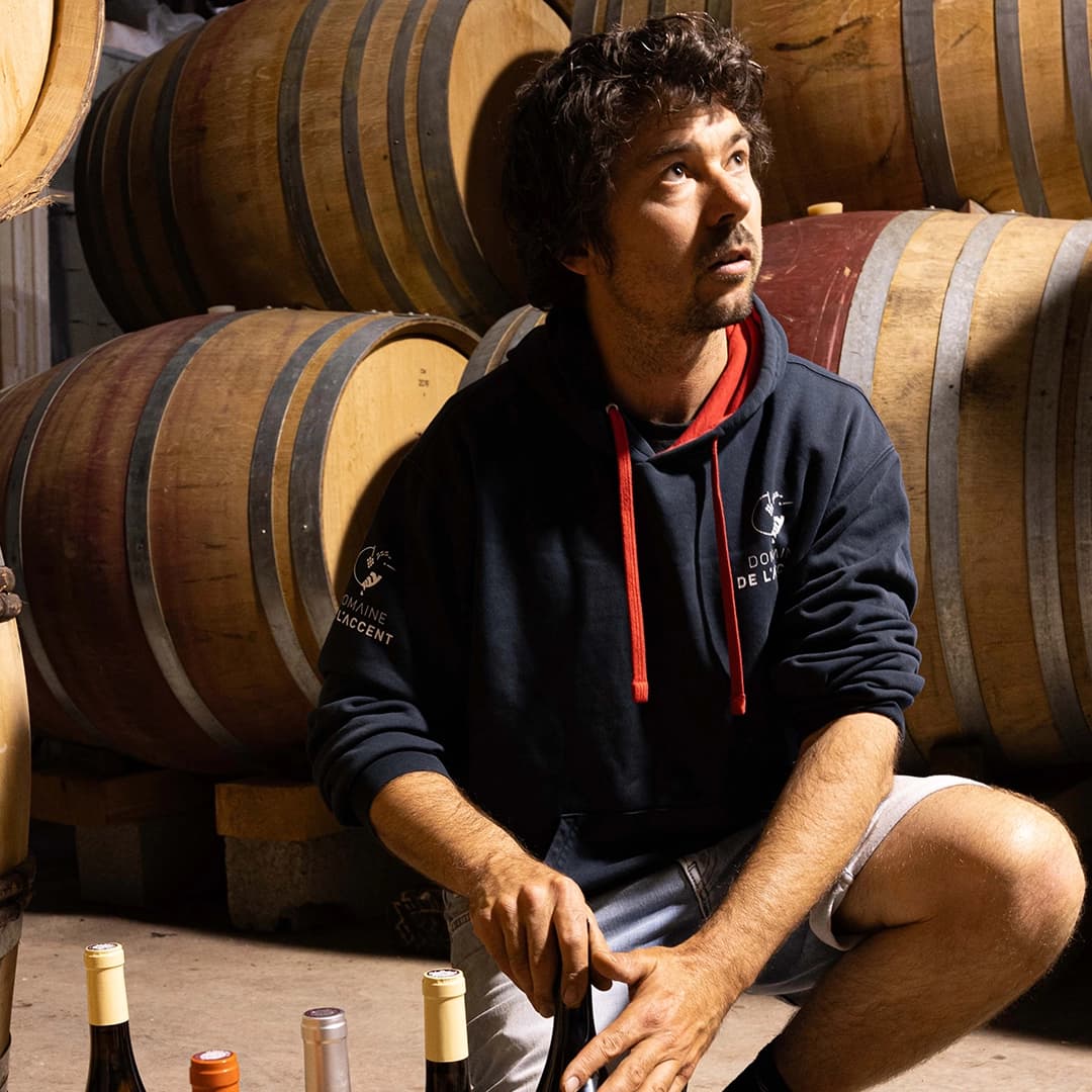3,2 ha de vignes Bio Terrasses du Larzac - Viticulture en Occitanie | Hectarea - 8