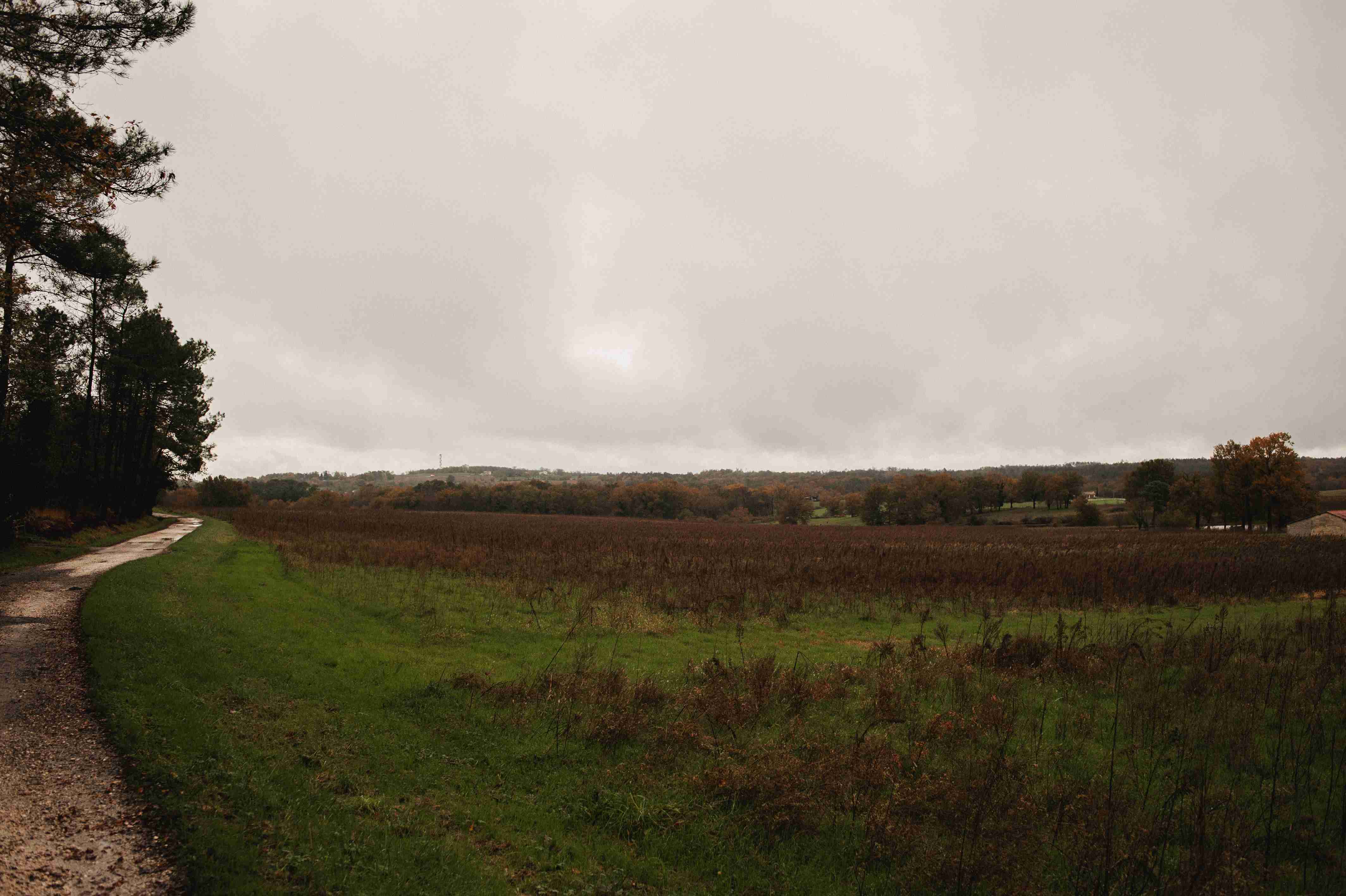 26 ha en polyculture bio - Céréales en Nouvelle-Aquitaine | Hectarea - 2
