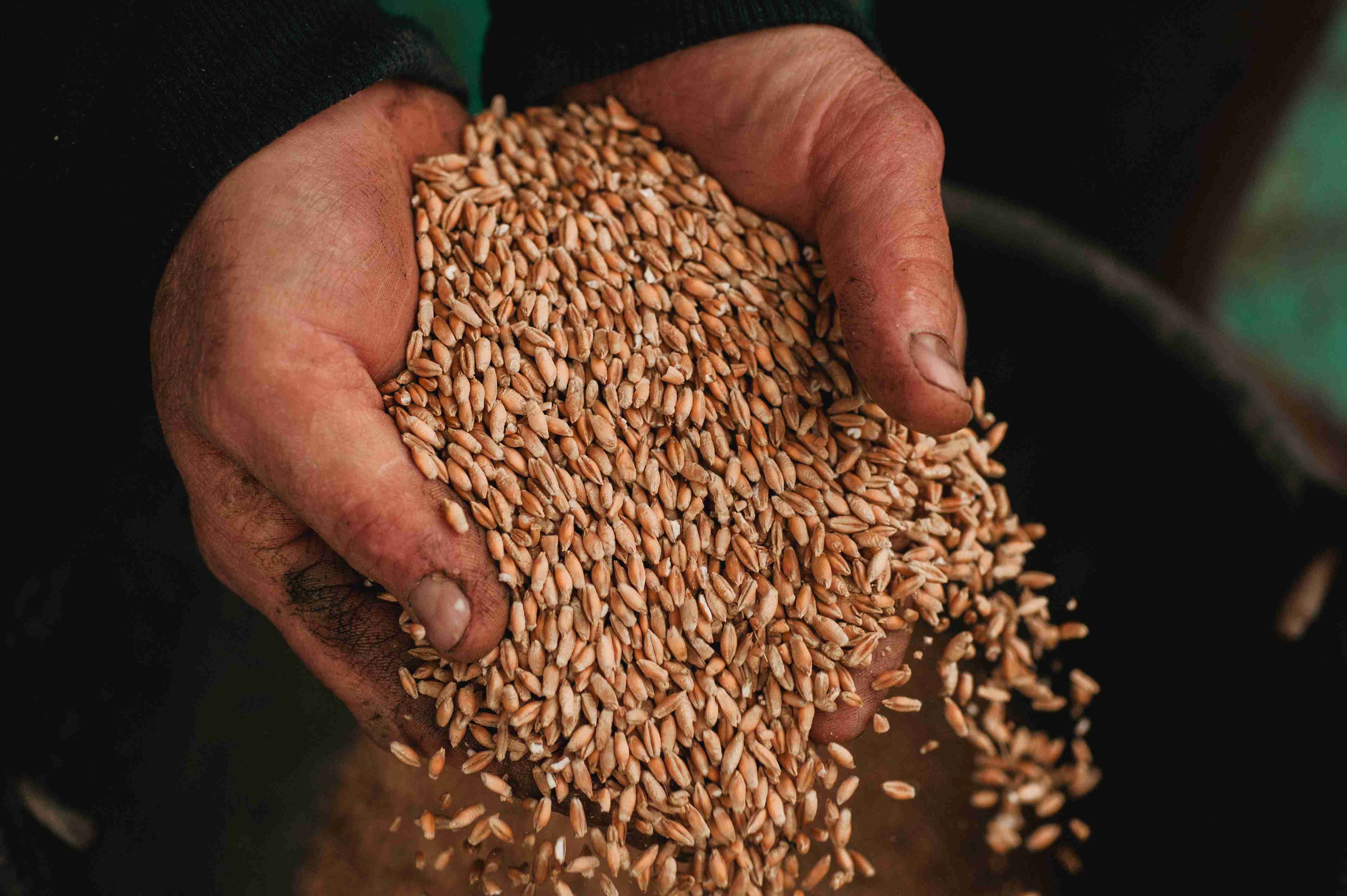26 ha en polyculture bio - Céréales en Nouvelle-Aquitaine | Hectarea - 4