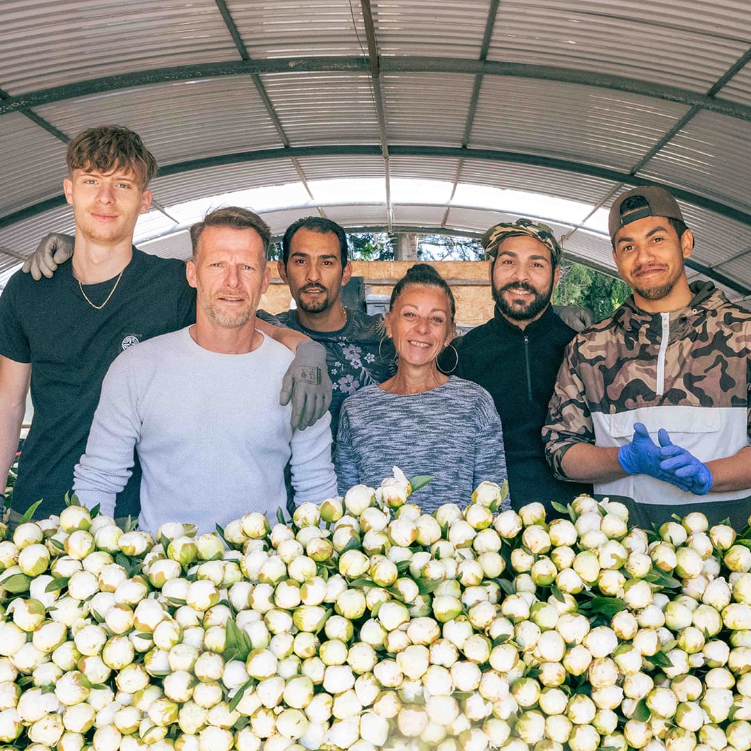 137 ares en culture éco-responsable de fleurs - Horticulture en PACA | Hectarea - 9