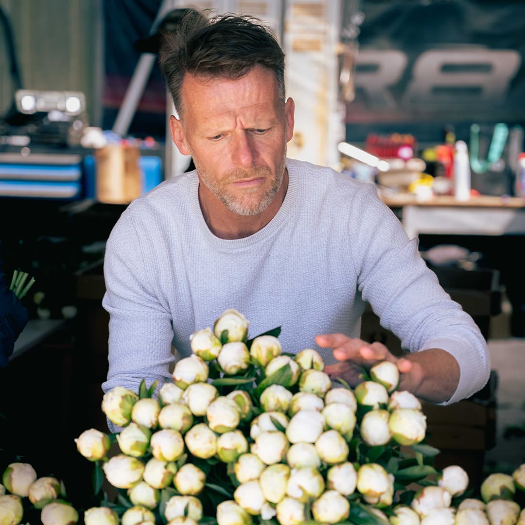 137 ares en culture éco-responsable de fleurs - Horticulture en PACA | Hectarea - 7