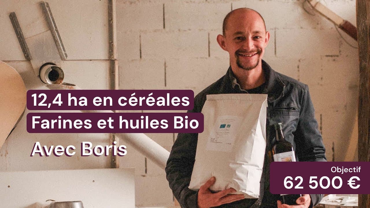 Vidéo - 12,4 ha en céréales - Farines et huiles Bio - Céréales en Grand Est | Hectarea