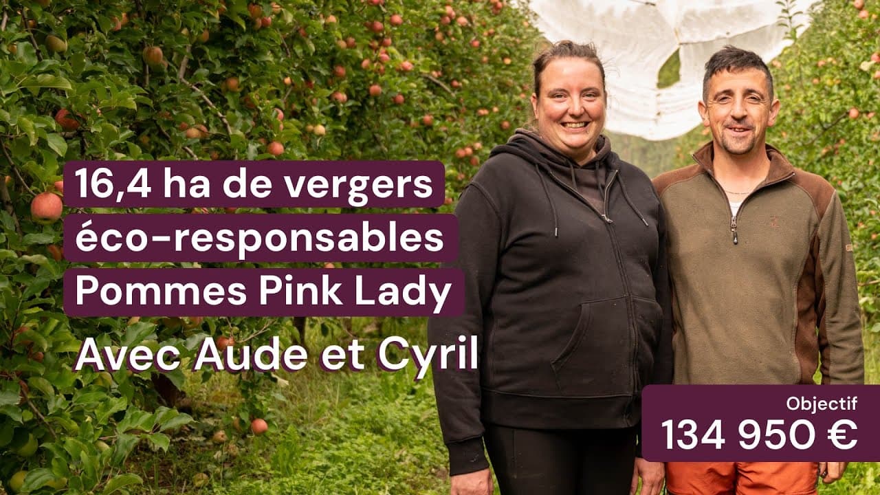 Vidéo - 16,4 ha en vergers éco-responsables - Pommes Pink Lady - Arboriculture en Tarn-et-Garonne | Hectarea