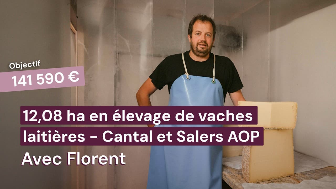 Vidéo - 12,08 ha en élevage de vaches laitières - Cantal & Salers AOP - Élevage en Auvergne-Rhône-Alpes | Hectarea
