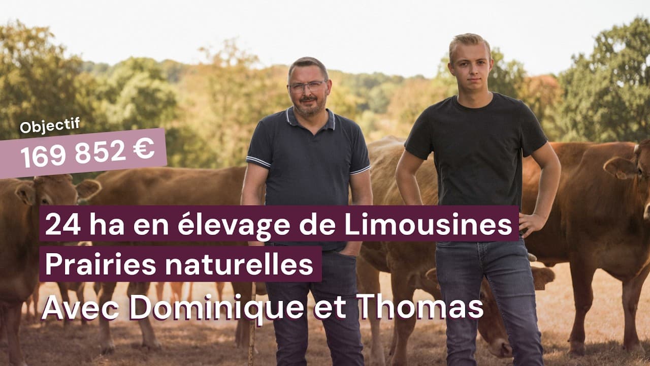Vidéo - 24 ha en élevage de Limousines - prairies naturelles - Élevage en Normandie | Hectarea