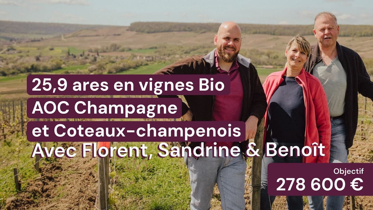 Vidéo - 25,9 ares en vignes Bio - AOC Champagne et Coteaux-champenois - Viticulture en Hauts-de-France | Hectarea