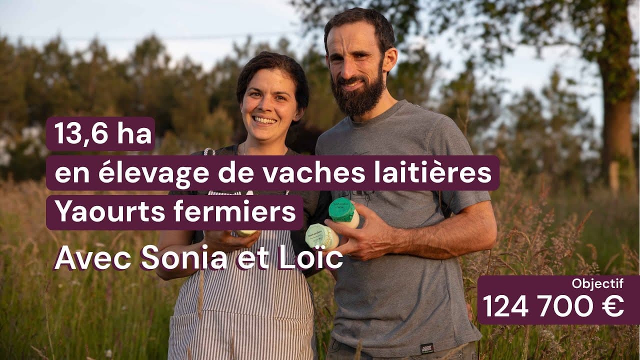Vidéo - 13,6 ha en élevage de vaches laitières - Yaourts fermiers - Élevage en Nouvelle-Aquitaine | Hectarea