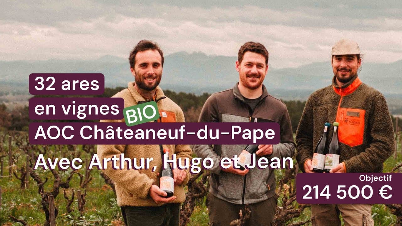 Vidéo - 32 ares en vignes Bio - AOC Châteauneuf-du-Pape - Viticulture en PACA | Hectarea