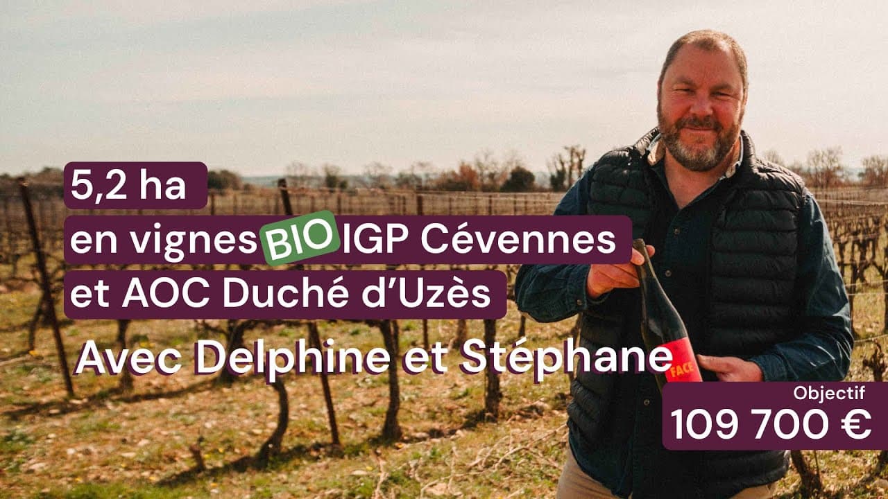 Vidéo - 5,2 ha en vignes Bio - IGP Cévennes et AOC Duché d’Uzès - Viticulture en Occitanie | Hectarea