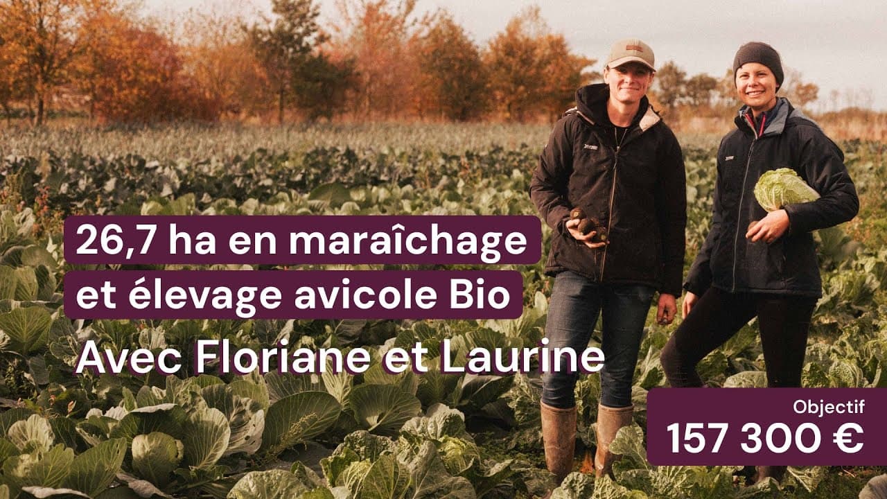Vidéo - 26,7 ha en maraîchage et élevage avicole Bio - Maraîchage en Normandie | Hectarea