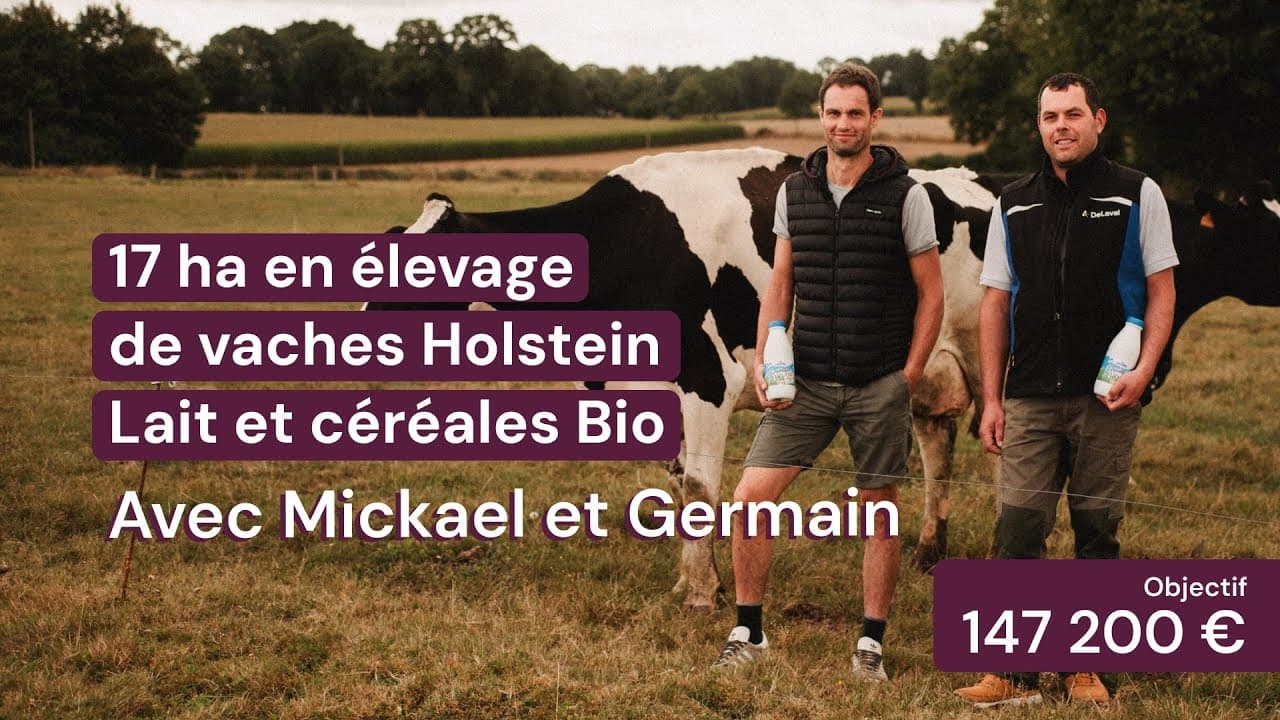 Vidéo - 17 ha en élevage de vaches Holstein - Lait et céréales Bio - Céréales et Élevage en Pays de la Loire | Hectarea