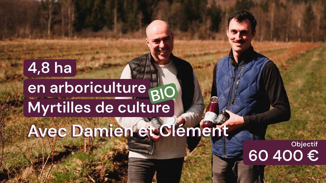 Vidéo - 4,8 ha en arboriculture Bio - Myrtilles de culture