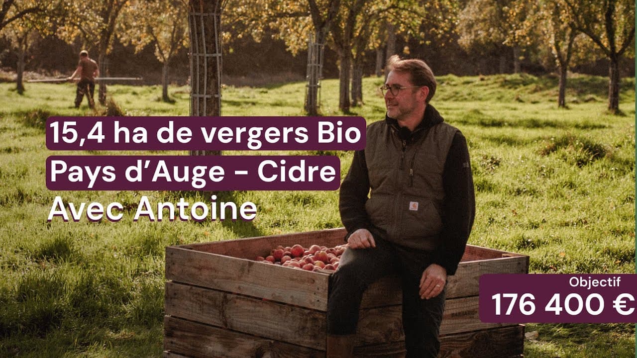Vidéo - 15,4 ha de vergers Bio Pays d’Auge - Cidre - Arboriculture en Normandie | Hectarea
