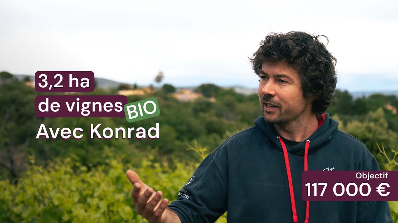 Vidéo - 3,2 ha de vignes Bio Terrasses du Larzac - Viticulture en Occitanie | Hectarea