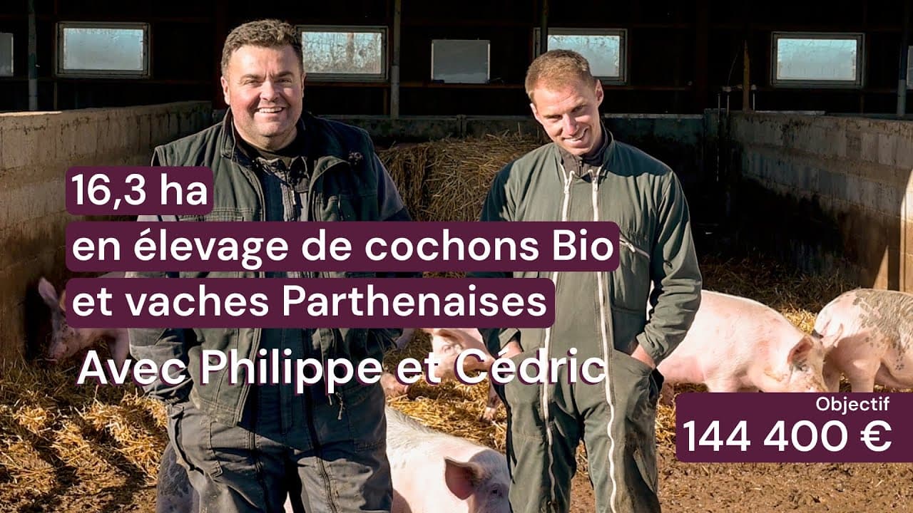 Vidéo - 16,3 ha en élevage de cochons Bio et vaches Parthenaises - Élevage en Occitanie | Hectarea