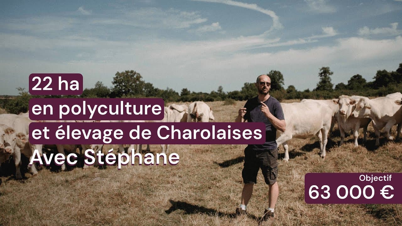 Vidéo - 22 ha en polyculture et élevage de Charolaises - Élevage en Nouvelle-Aquitaine | Hectarea