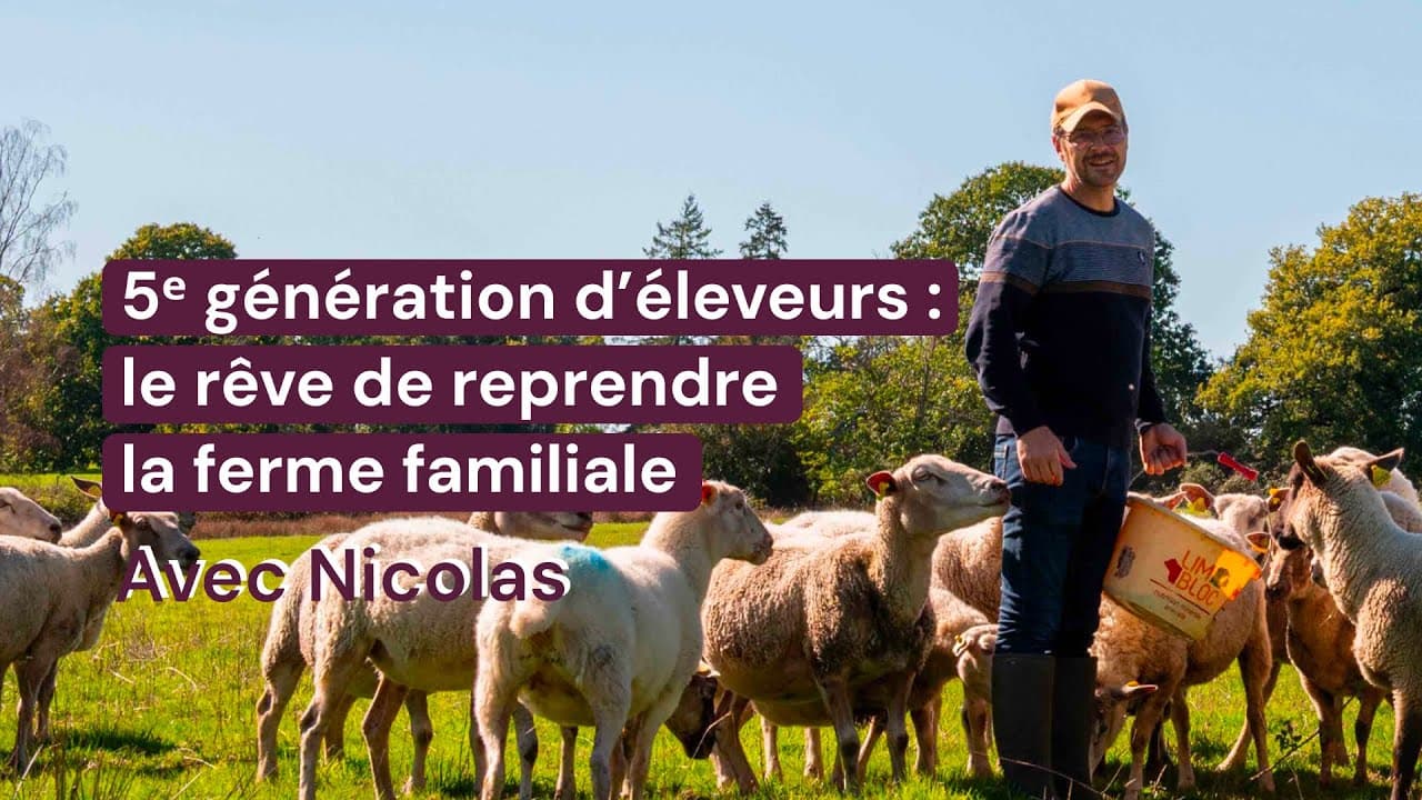 Vidéo - 39,2 ha en élevage de vaches et brebis Limousines - Élevage en Nouvelle-Aquitaine | Hectarea